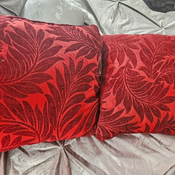 Throw Pillows - Picture 2 of 3